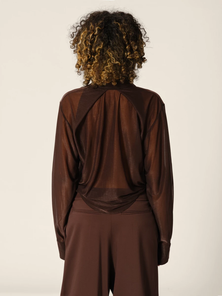 Brown Straight Transparent Shirt Collar Blouse
