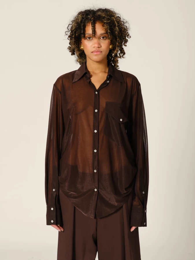Brown Straight Transparent Shirt Collar Blouse