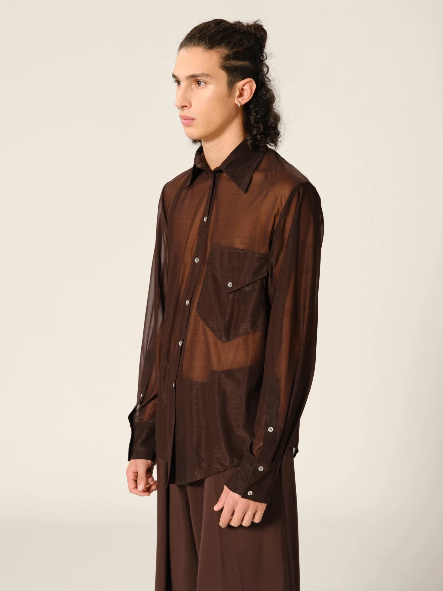 Brown Straight Transparent Shirt Collar Blouse